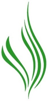 PT PP PATI SARI